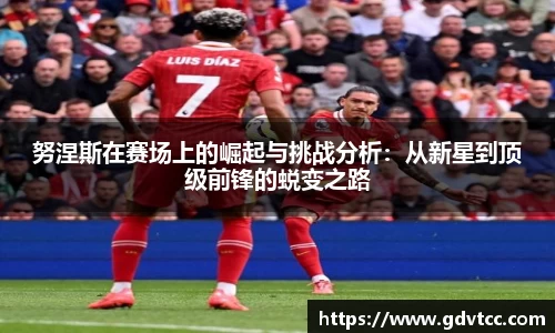 努涅斯在赛场上的崛起与挑战分析：从新星到顶级前锋的蜕变之路