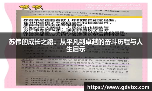 苏伟的成长之路：从平凡到卓越的奋斗历程与人生启示